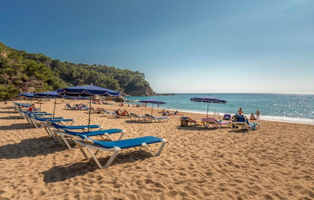 Villa Olombel Massanet De La Selva Εξωτερικό φωτογραφία